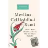 Mevlana Celaleddın-i Rumi