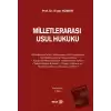 Milletlerarası Usul Hukuku (Ciltli)