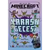 Minecraft - Yarasa Gecesi