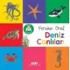 Minik Kitaplarım – Deniz Canlıları