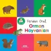 Minik Kitaplarım – Orman Hayvanları