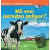 Mö Sesi Nereden Geliyor?