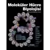 Moleküler Hücre Biyoloji (Ciltli)