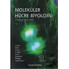 Moleküler Hücre Biyolojisi (Ciltli)