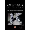 Mycetozoa of Turkey