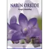 Narin Orkide