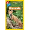 NATINONAL GEOGRAPHIC KIDS - ORMANDA