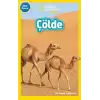 NATIONAL GEOGRAPHIC KİDS - ÇÖLDE