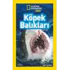 National Geographic Kids Köpek Balıkları