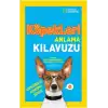 Köpekleri Anlama Kılavuzu