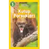 National Geographic Kids - Kutup Porsukları