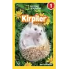 National Geographic Kids Okuma Serisi Seviye 1 - Kirpiler