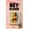 Ne İdim Ney Oldum