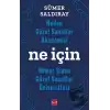 Neden Güzel Sanatlar Akademisi Ne İçin Mimar Sinan Güzel Sanatlar Üniversitesi