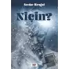 Niçin?