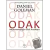 Odak