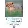 Optimum Denge Modeli