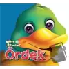 Ördek