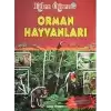 Orman Hayvanları