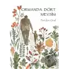 Ormanda Dört Mevsim