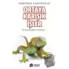 Ortaya Karışık İşler