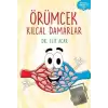 Örümcek Kılcal Damarlar - Organlar Konuşuyor Serisi 5