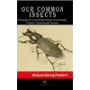 Our Common Insects