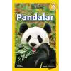 Pandalar