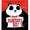 Pandayı Bul! - Bu Pandayı Gören Oldu Mu?