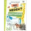 Peki Ama Neden? - Hayvanlar