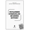 Peygamber Düşmanları Ne Demek İstiyor?