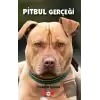 Pitbul Gerçeği