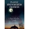 Plansız Direnemediğim Fikrimsin