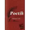 Poetik Söyleşmeler