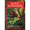 Prydain Günlükleri Kitap 1 - Üçün Kitabı