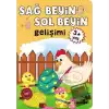 Sağ Beyin - Sol Beyin Gelişimi +3 Yaş