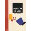 Şaşılacak Ne Var?