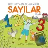 Sayılar