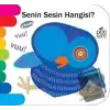 Senin Sesin Hangisi? - Delikli Kitaplar Serisi