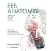 Ses Anatomisi