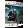 Sessiz Kılıç - Drizzt Efsanesi 11. Kitap