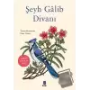 Şeyh Galib Divanı