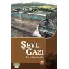 Şeyl Gazı