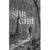 Şiir Gibi