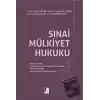 Sınai Mülkiyet Hukuku