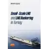 Small-scale Lng And Lng Bunkering İn Turkey