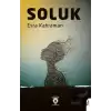 Soluk