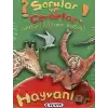 Sorular ve Cevaplar - Hayvanlar