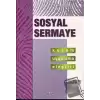 Sosyal Sermaye Kuram Uygulama Eleştiri