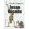 Stem Bilim Ansiklopedisi : İnsan Vücudu